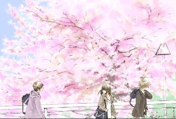 雏鸟pro官网下载